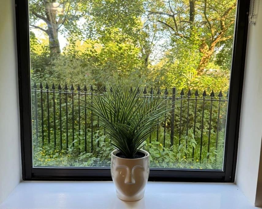 Polly'S Place Apartment Taunton & Free Off Road Parking & Wifi Exterior foto